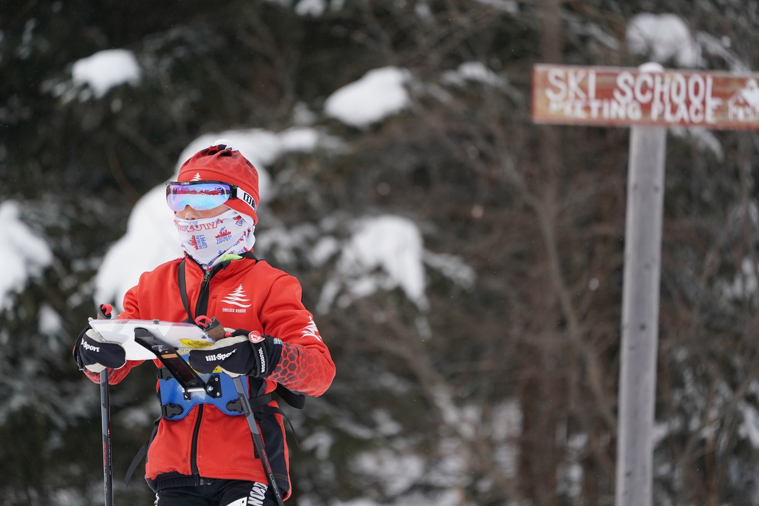 Woodrow planning his next move!